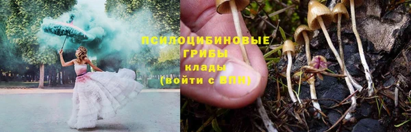 скорость Тобольск