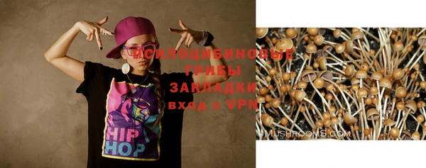 твердый Беломорск