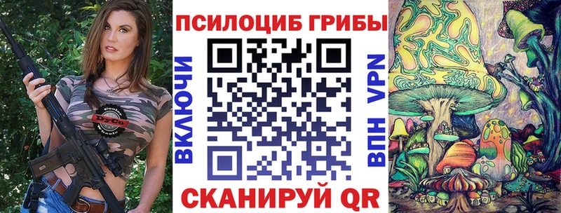 где продают Курильск Псилоцибиновые грибы Cubensis